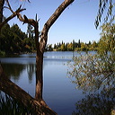  Lake next to the site for Maya's party 